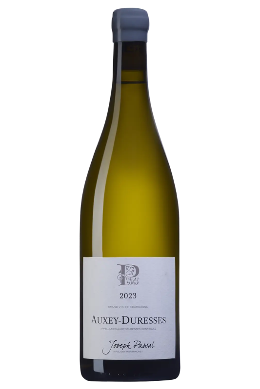 Auxey Duresses AOP - Joseph Pascal - Blanc  2023